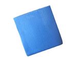 Picture of SPONGE CLOTHS BLUE (1X10)  260MM X 240MM
