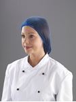 Picture of DM/NETS HAIR NETS 547 BLUE  1X48