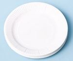 Picture of PLATES PAPER 6.75" (17CM) 7506104
